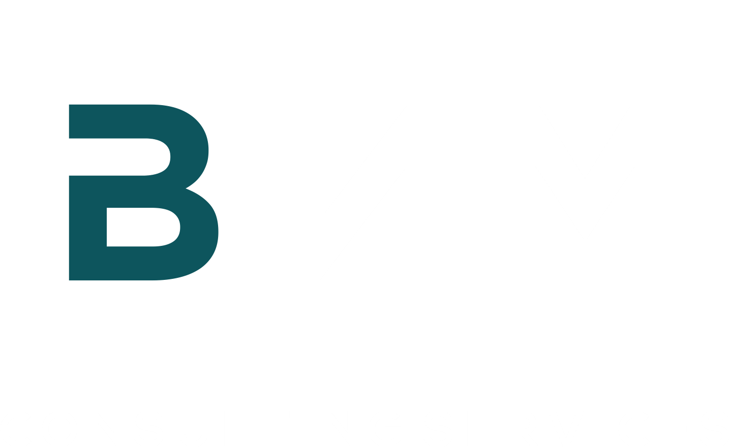BNM Consulting